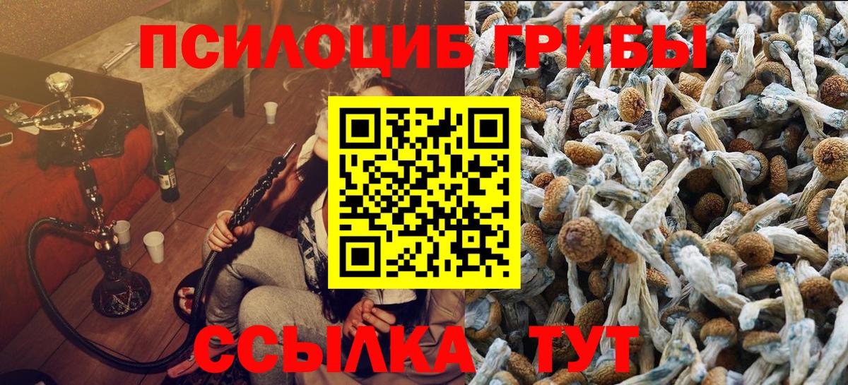 Псилоцибиновые грибы MAGIC MUSHROOMS  Галлюциногенные грибы Cubensis  Вход с VPN  Заводоуковск 