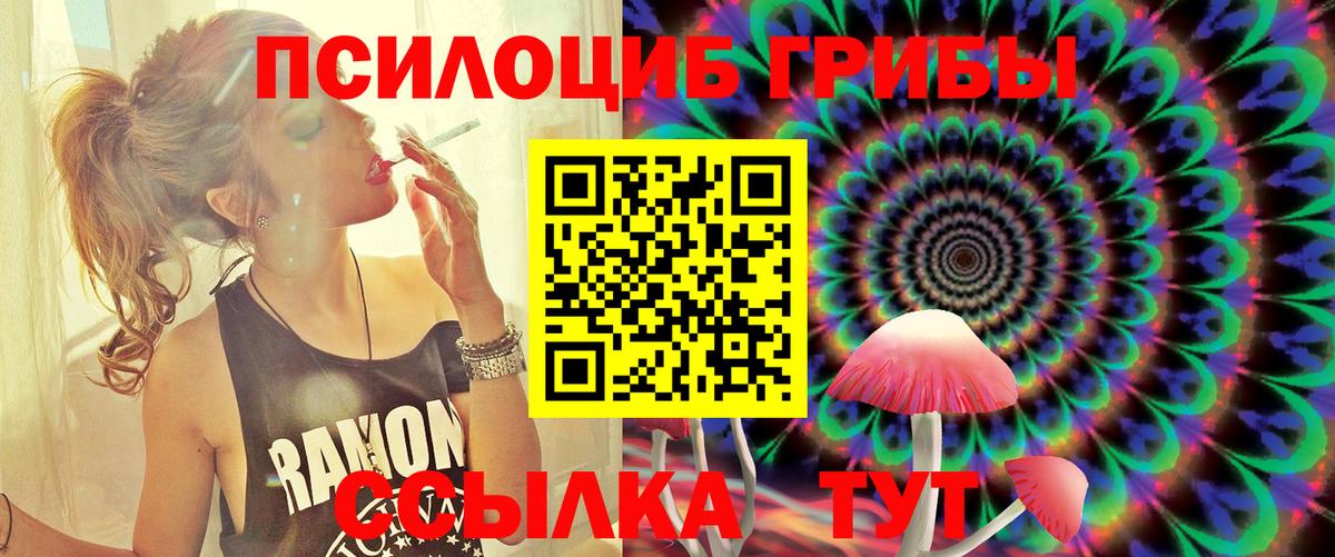 Псилоцибиновые грибы Cubensis Заводоуковск