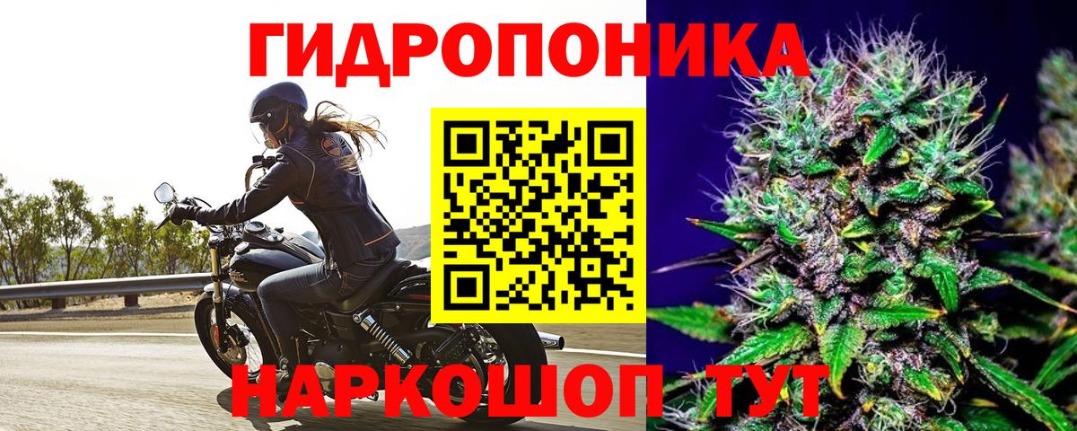 Шишки марихуана AK-47 Заводоуковск